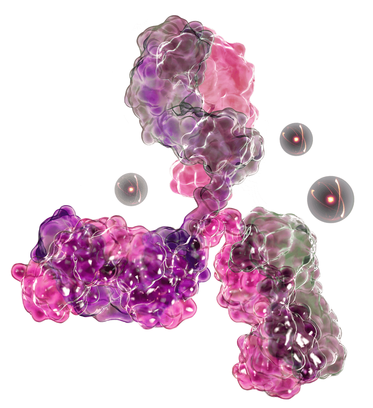 Radioantibody